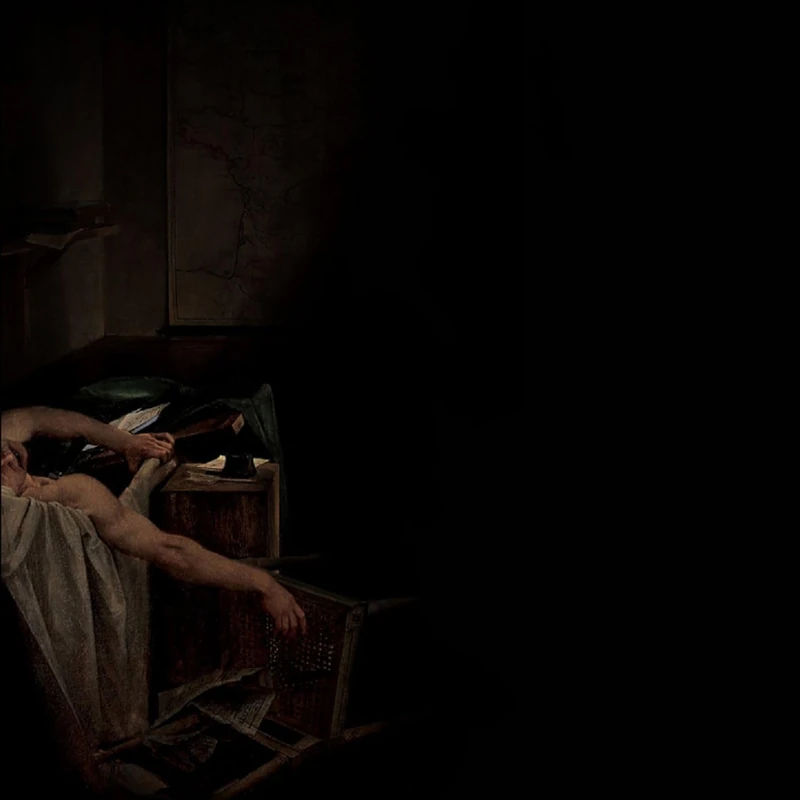 Voids [Vinyl LP] [VINYL]