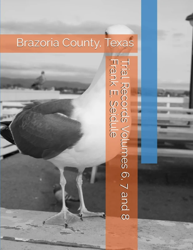 Trial Records Volumes 6, 7 and 8 Frank E. Seidule: Brazoria County, Texas