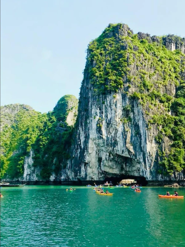 "A Quick Guide to Vietnamese Cooking"