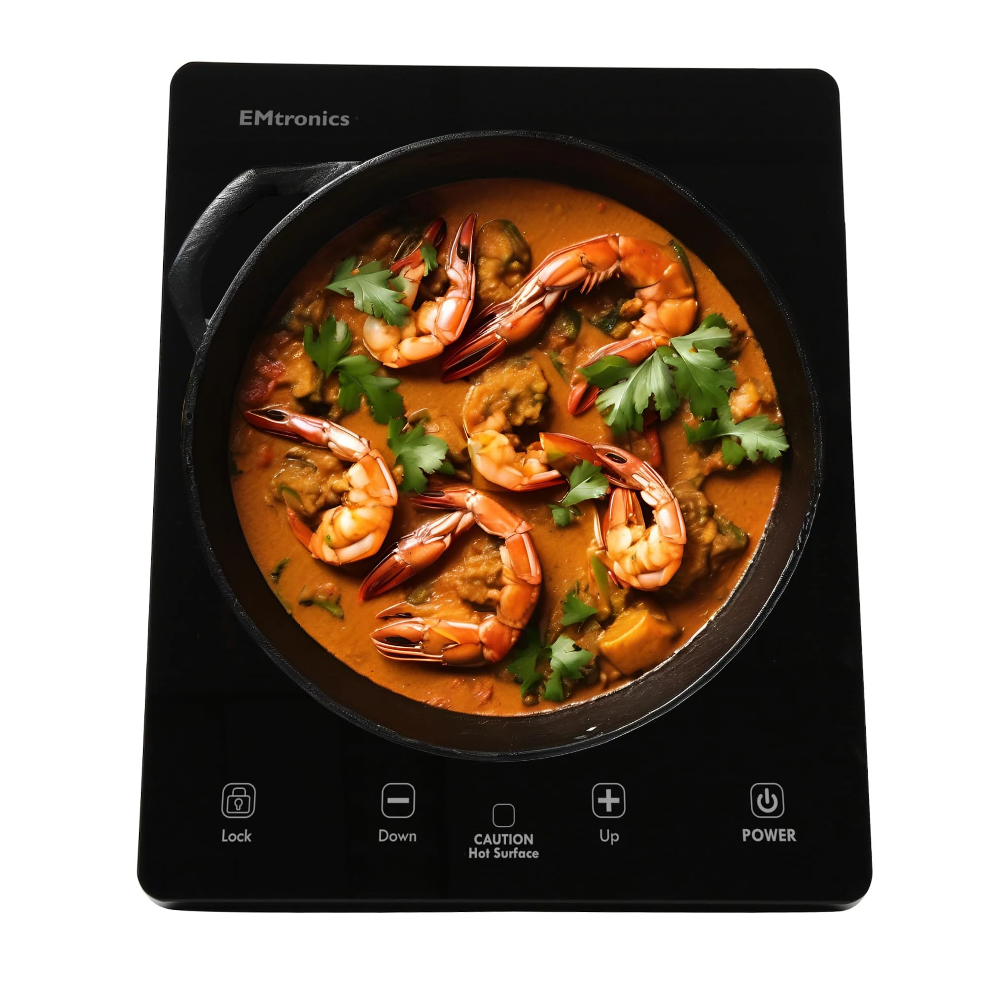 EMtronics 2000W Single Induction Cooker Hob with 9-Level Temperature Control, Black Glass Top with Touch Sensor - Black