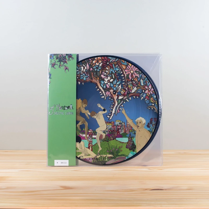 Skeletal Lamping (Picture Disc Edition) [Vinyl LP] [VINYL] - Image 1