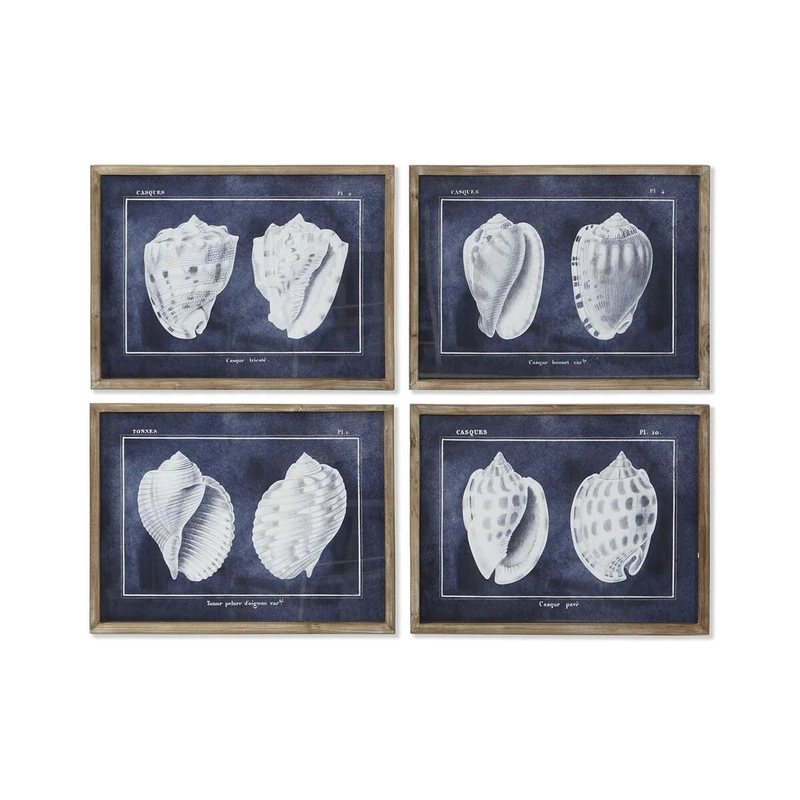 Home ESPRIT Conch Picture 60 x 2.5 x 45 cm (4 Units)