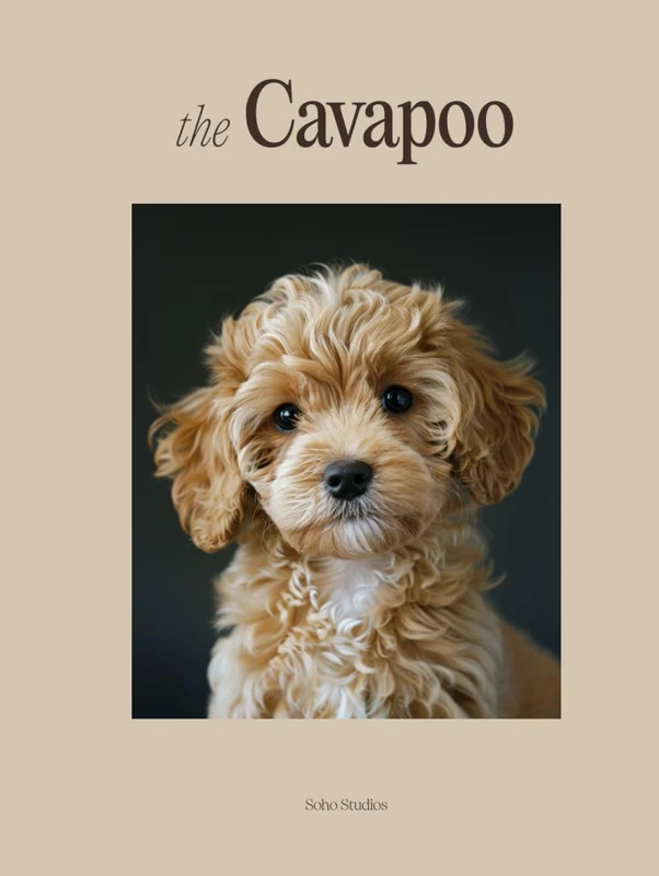 The Cavapoo: A Photography Coffee Table Book