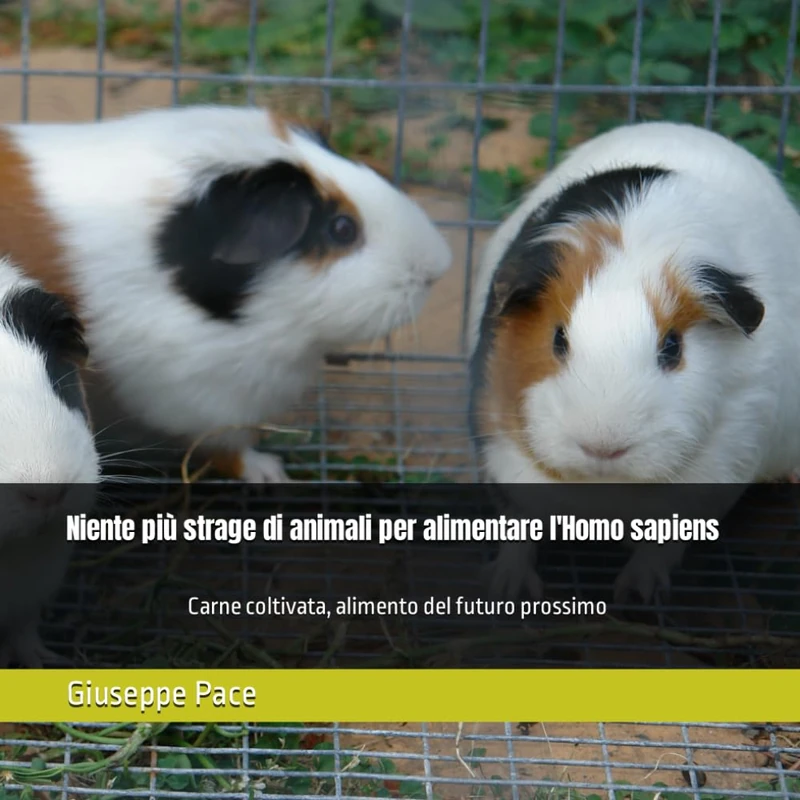 Niente più strage di animali per alimentare l'Homo sapiens