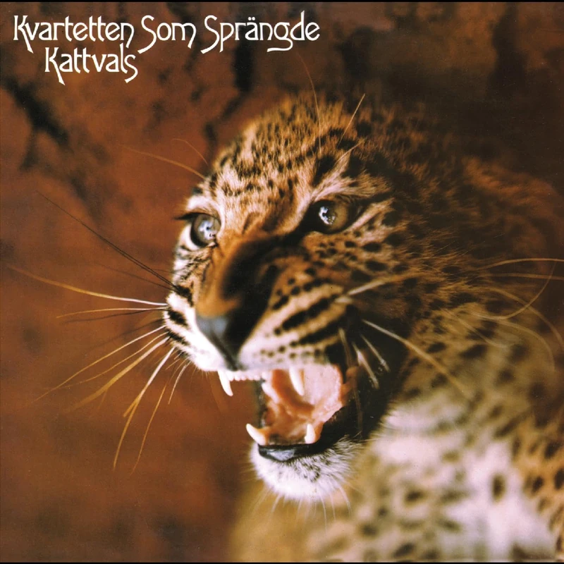 Kattvals (Deluxe Edition) [VINYL] - Image 1