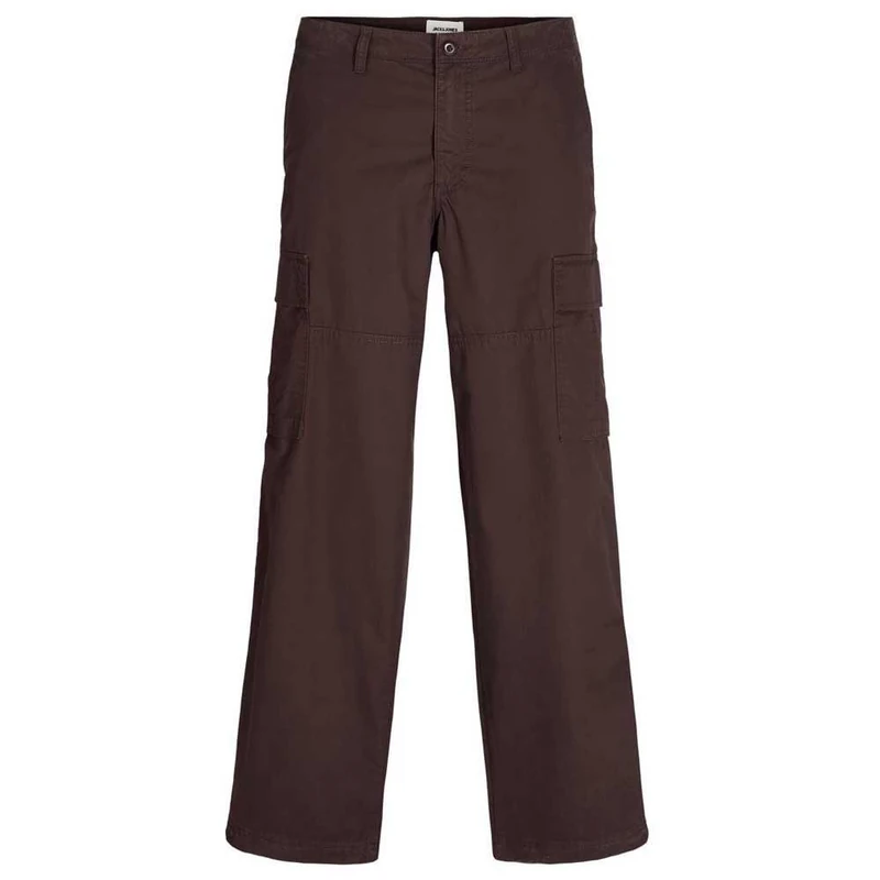 JACK & JONES Men's Jpstbill Jjknockout Cargo Ln Styd Cargo Trousers, Seal Brown, 29 W/34 L