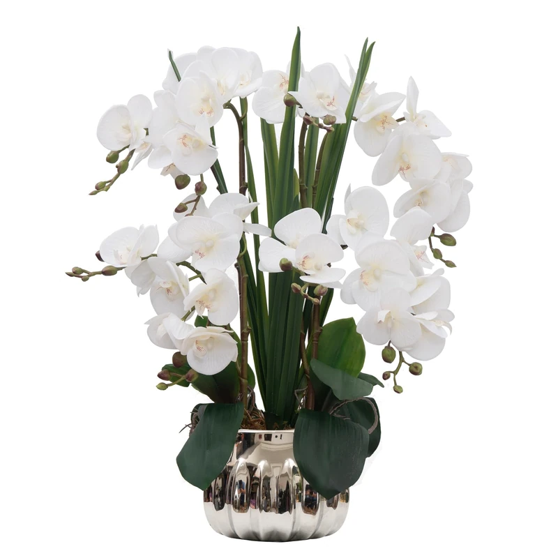 CXGS Artificial Orchid Flower Real Touch Faux Orchids in Ceramic Vase Large 22.9'' Fake Flowers White Phalaenopsis Floral for Home Indoor Decor