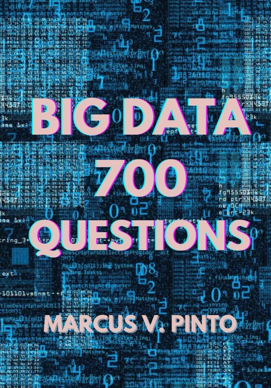 Big Data – 700 Questions - Image 1