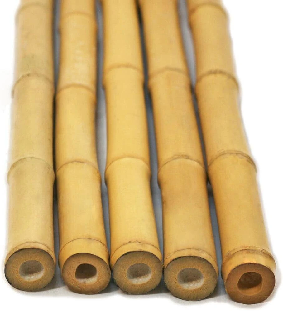 FlickBuyz Bamboo Canes - Plant Supports for Outdoor Plants – All Lengths 2,3,4,5,6,7 & 8ft Garden Canes, Heavy Duty Professional Bamboo Sticks for Plants, Garden Plant Supports (250, 2ft, 6-8mm)