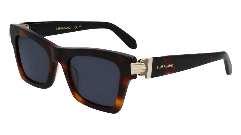 Ferragamo Sf2013s Sunglasses, torotise, 52