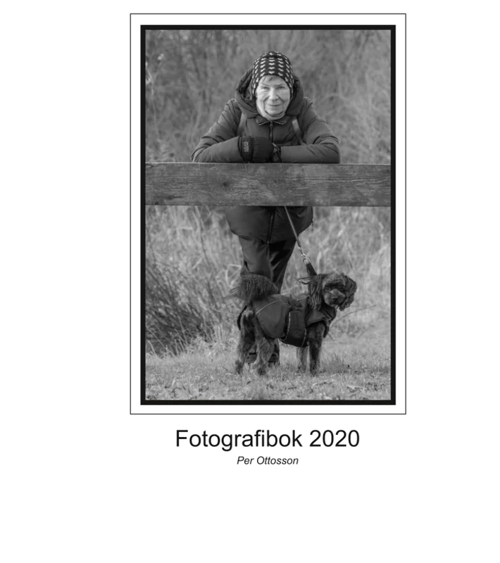 Fotografibok 2020: Fbok