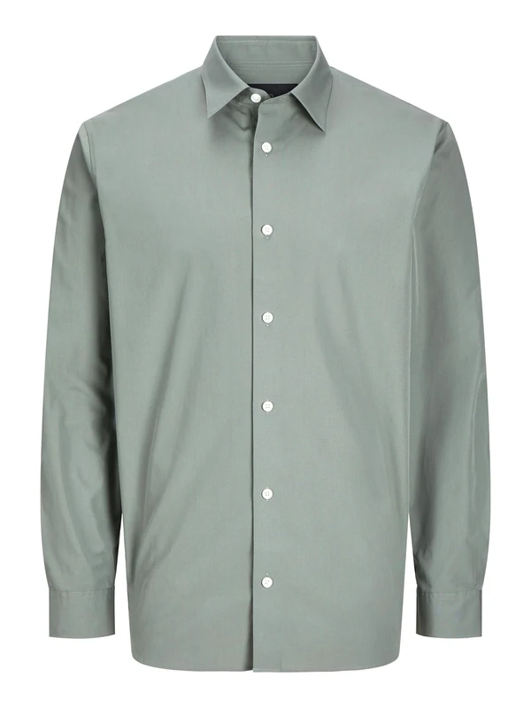 JACK & JONES Men's Jprblabushwick Stanley Shirt L/S Sn Long Sleeve, Agave Green, XS