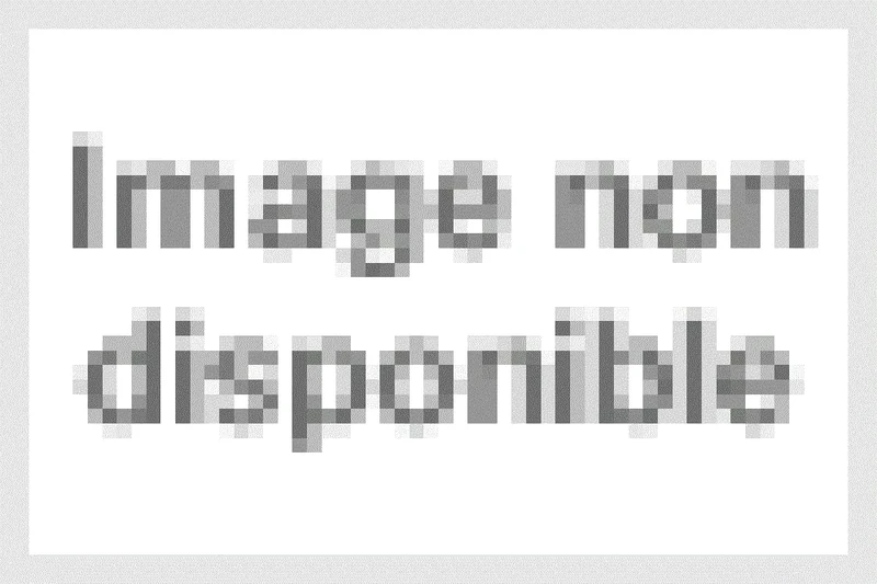 Hold Your Horses [VINYL]