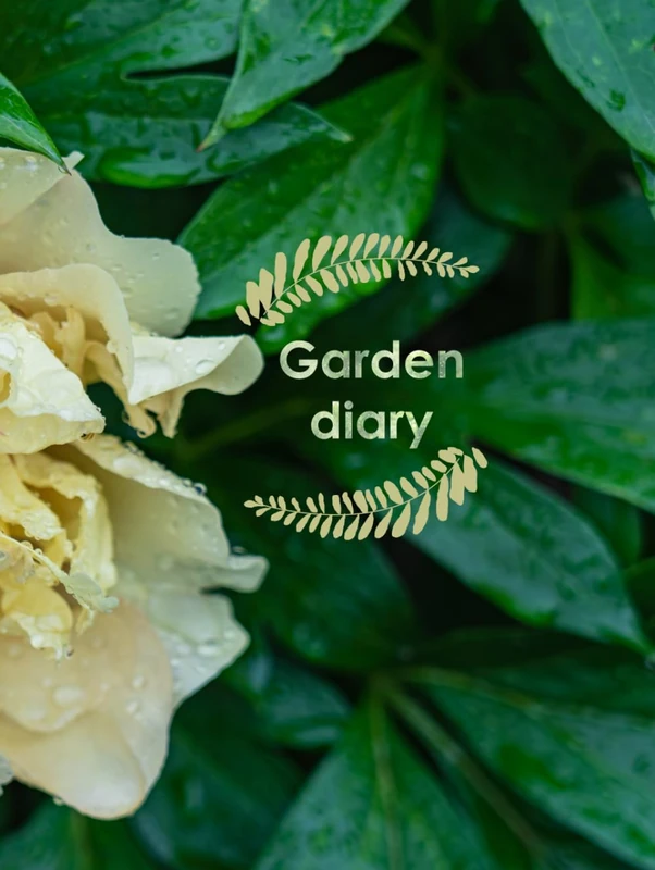 Garden diary: Garden Journal, A4 size, 175 pages