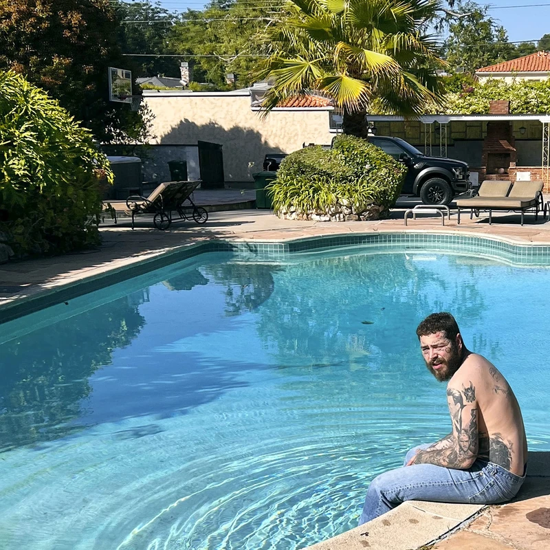 Austin (Ltd. Edition) [Vinyl LP] [VINYL]