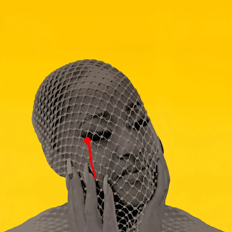 Please Don't Cry [Analog]