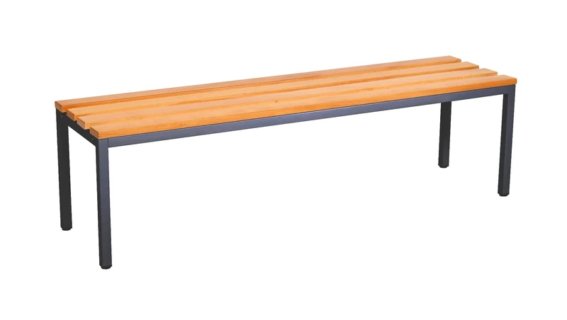 furni24 Bench for Changing Rooms (W x H x D): 200 x 42 x 40 cm, Changing Bench, Wardrobe Bench, Sports Bench, Bench with Real Wood for Gym (Anthracite, 150 cm)