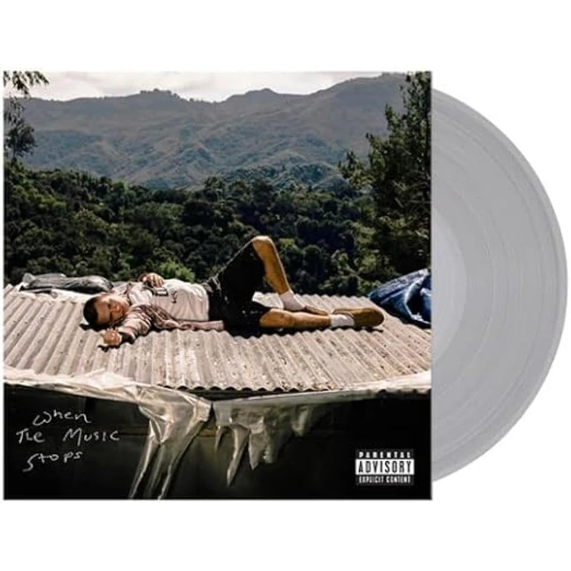 WHEN THE MUSIC STOPS [VINYL]