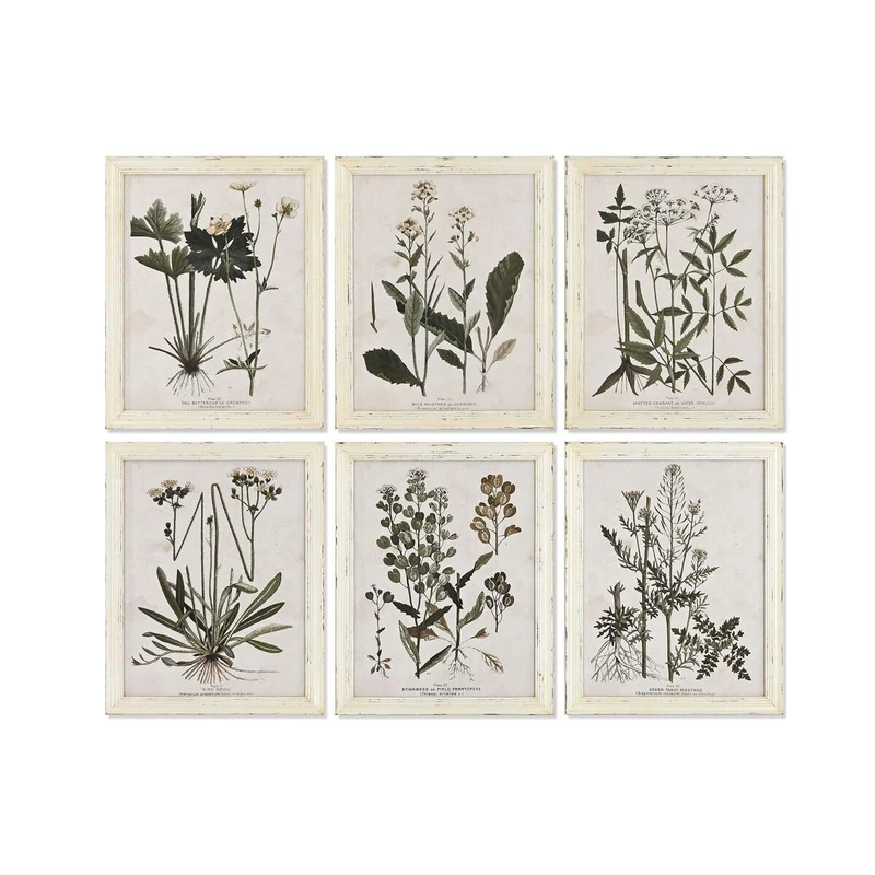 Home ESPRIT Shabby Chic Botanical Plants Picture 40 x 1.5 x 50 cm Pack of 6