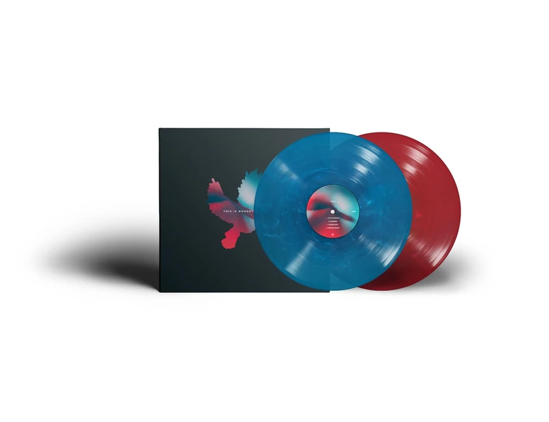 This Is Goodbye (2lp Marbled Vinyl) [VINYL]