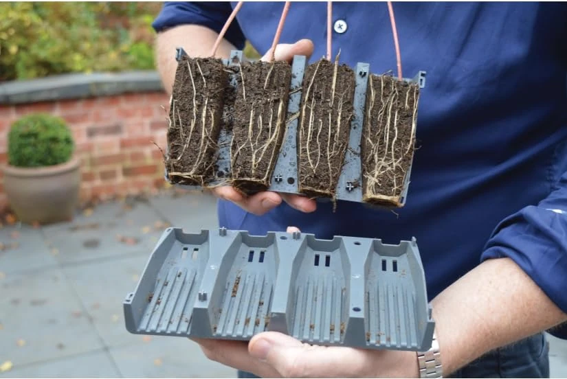 Garden Haven ® 28 Cell Deep Root Plant Cells 12cm Deep, Reusable, Root trainer Propagation Plant Germination Made in UK Ideal for all plants with deep root systems such as beans and sweet peas