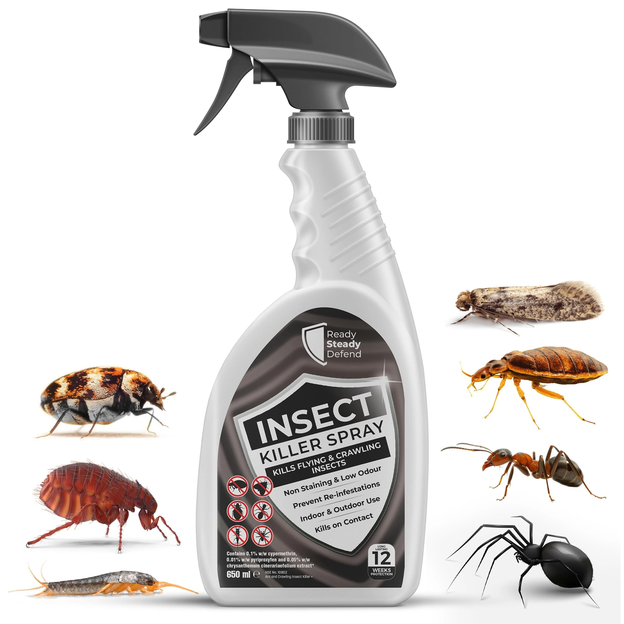 Effective Insect Killer Spray 650ml for All Life Stages - Indoor & Outdoor Use, HSE Approved, Targets Ants, Fleas, Flies & More, Provides 3-Month Protection