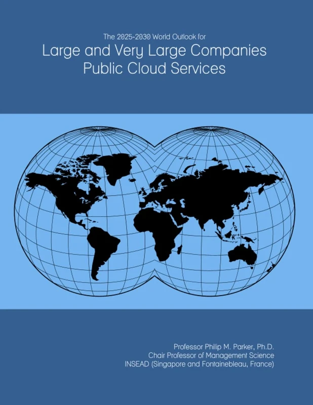 The 2025-2030 World Outlook for Large and Very Large Companies Public Cloud Services