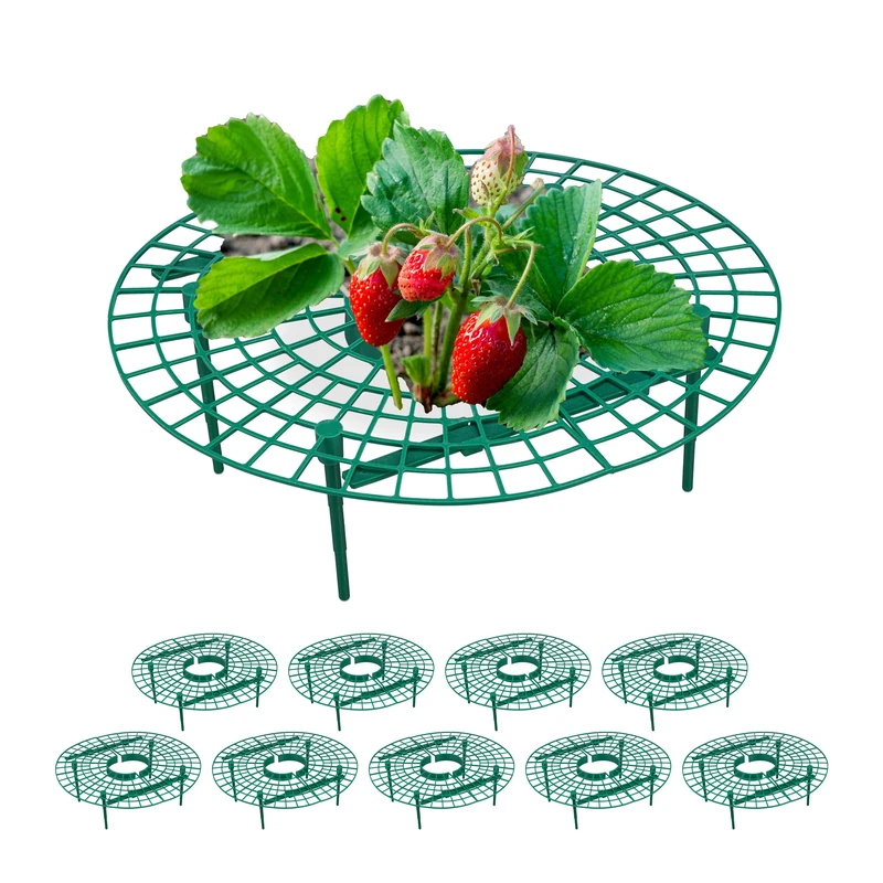 Relaxdays Strawberry Support Set - 10x Green Plant Protectors