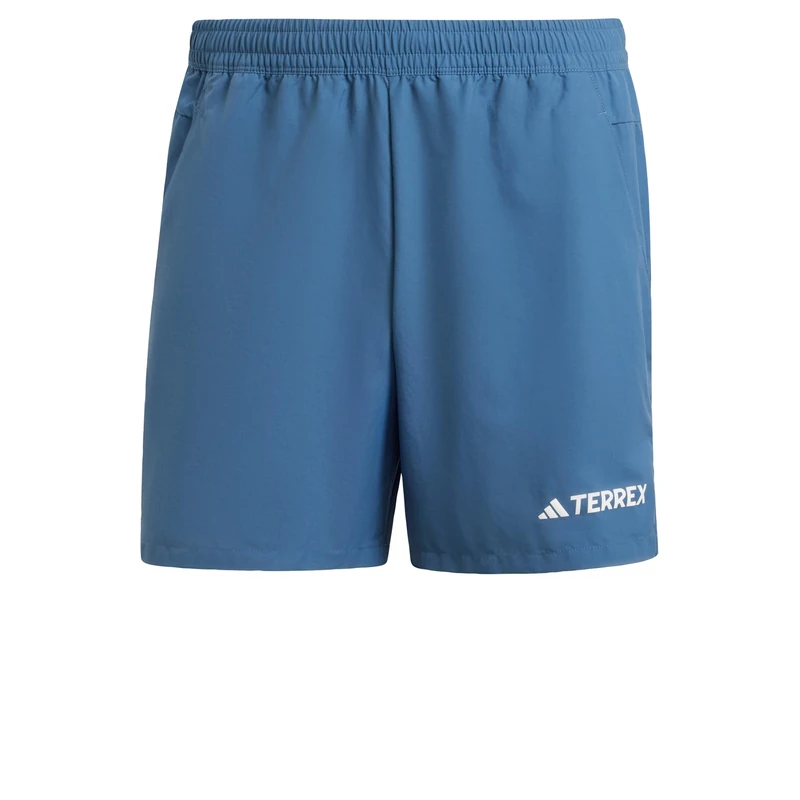adidas Men's Terrex Multi Shorts, Wonder Steel, L
