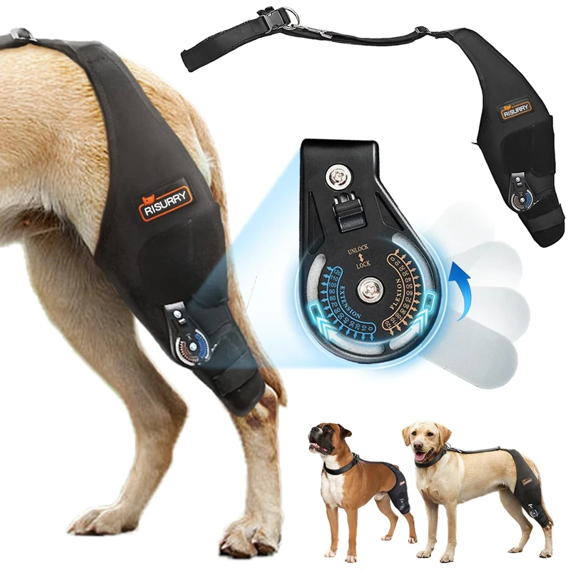 Adjustable Dog Knee Brace with Extra Collar, Support for Torn Acl Hind Leg, Tear Ligament, Osteoarthritis,Rear Leg Limp, Recovery After Surgery,et（Left Leg,XL）