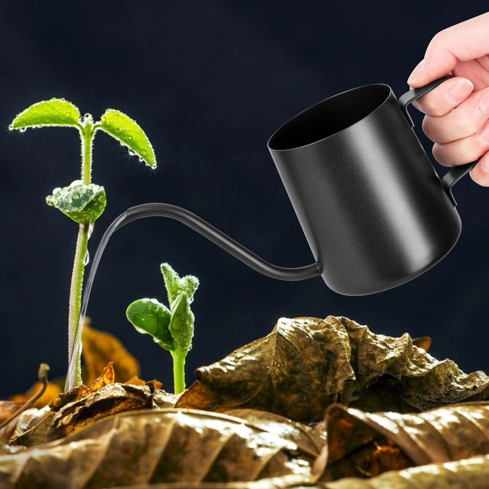 XTDMJ 250 ml Black Watering Can for Small Indoor Plants, Succulents - Stainless Steel Long Spout, Mini Garden Design