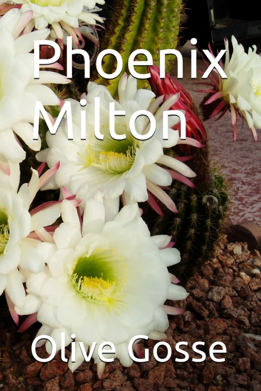Phoenix Milton - Image 1