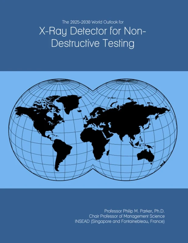 The 2025-2030 World Outlook for X-Ray Detector for Non-Destructive Testing
