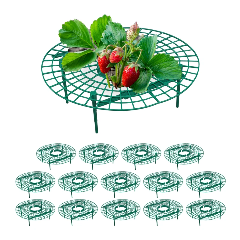 Relaxdays Strawberry Support, 15x Set, Protect Plants & Flowers from Snails, Prevent Rot & Mould, Round, Plastic, Green, 10 x 30 cm