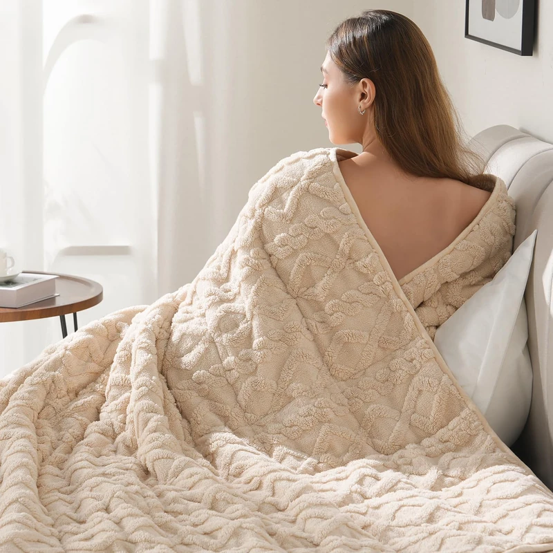Drewin Weighted Blanket Queen Size for Adults 17lbs,Beige,60 x 80 inches
