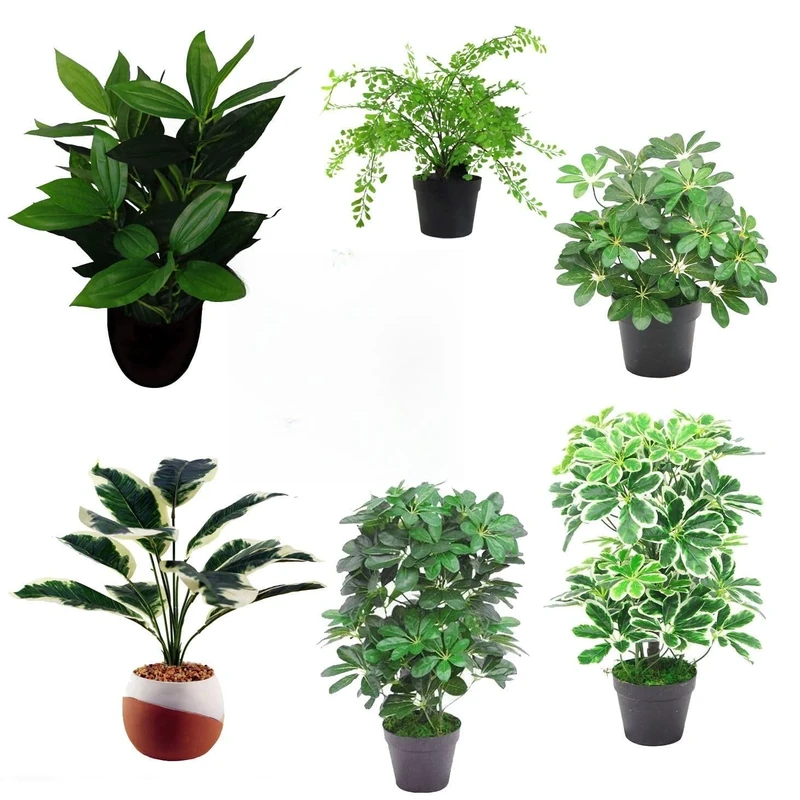 Leaf Pack of 6 Artificial Foliage Plants