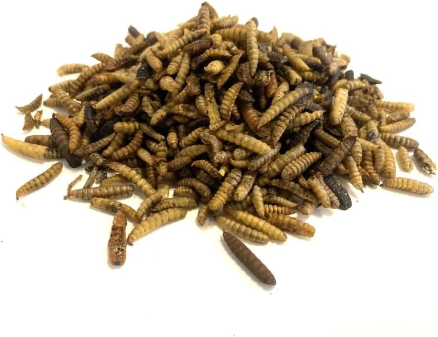 Dried Calciworms 5kg Premium Wild Bird & Hedgehog Food