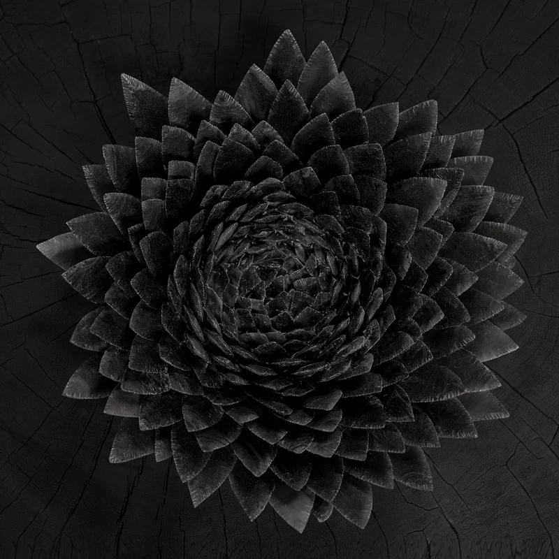 Obsidian [VINYL] - Image 1