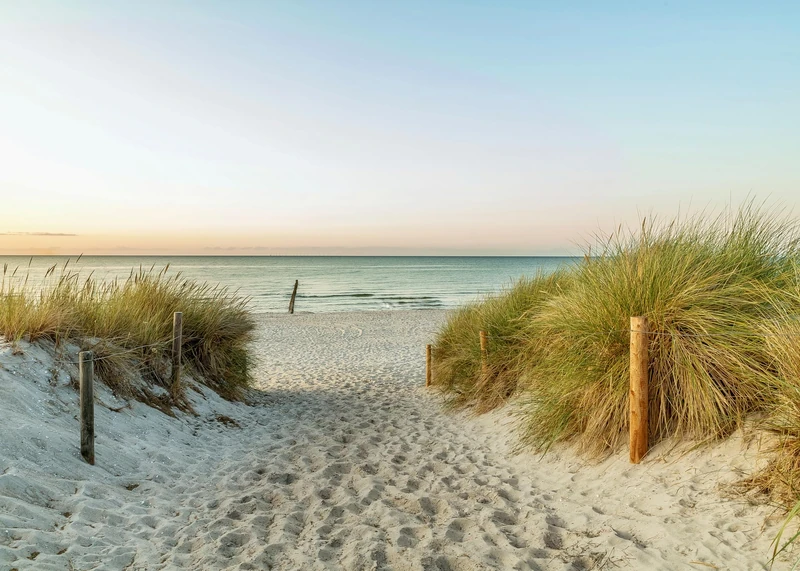 Rasch 363296 Photo Wallpaper on Non-Woven Sea Beach Dunes Landscape Nature 3D 2.65 m x 3.71 m (L x W)