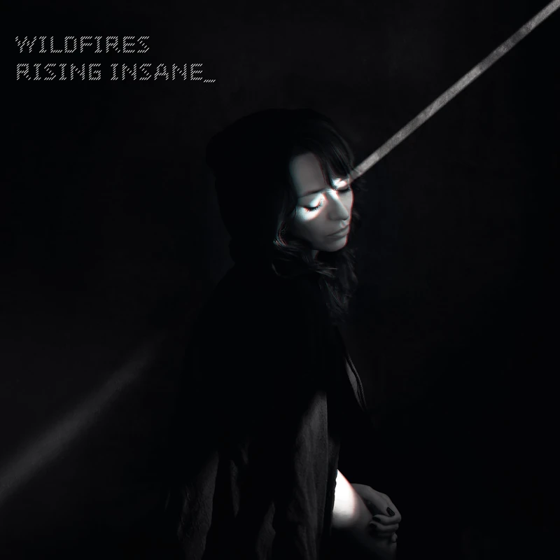 Wildfires [White & Black Marbled VINYL] [VINYL] - Image 1