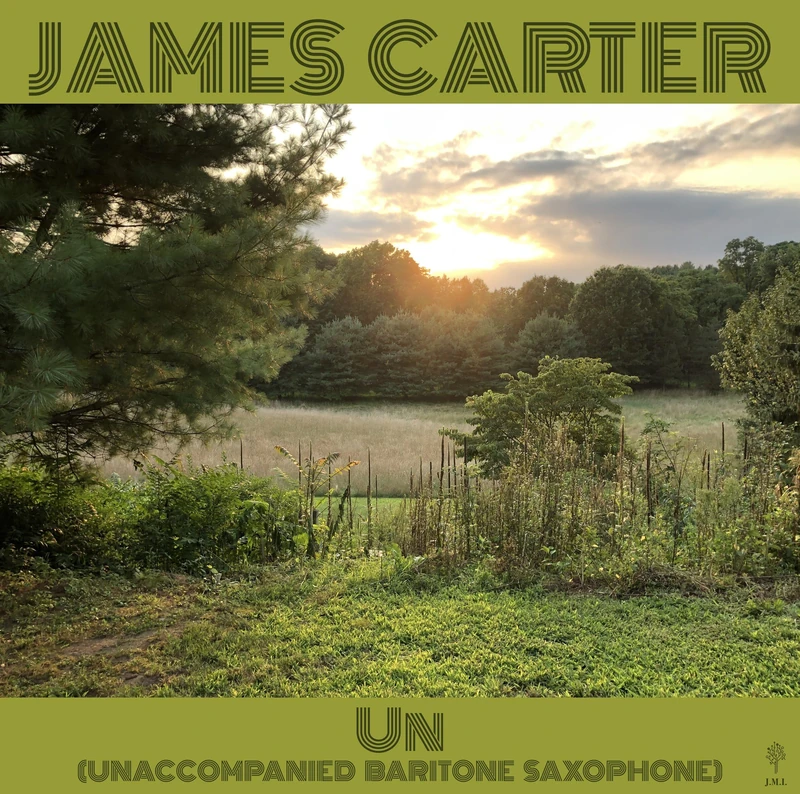 Un (Unaccompanied Baritone Saxophone) [Vinyl LP] [VINYL]