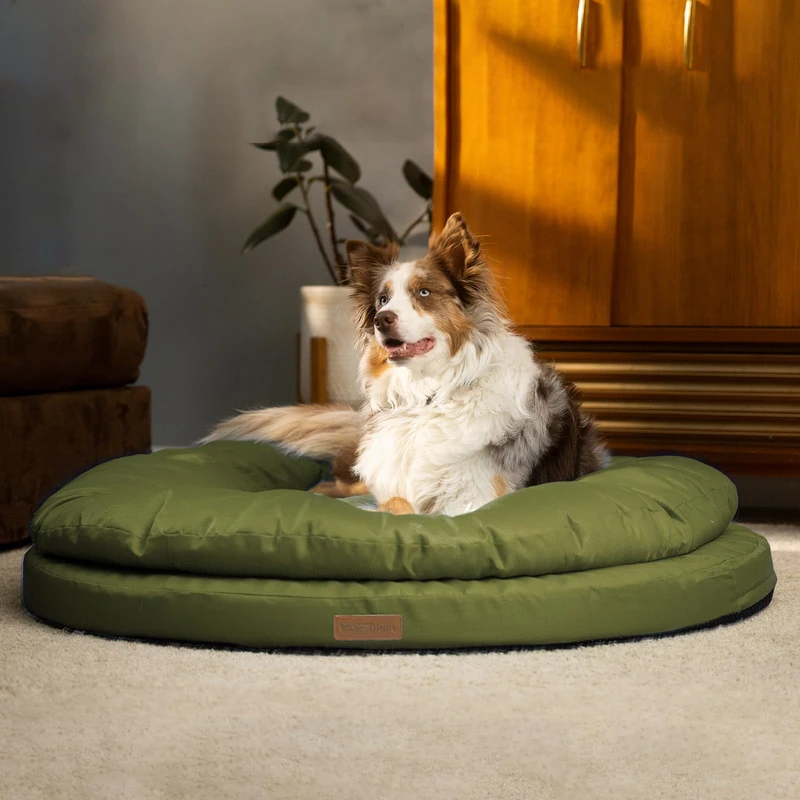ClevaHome Orthopedic Dog Bed for Large Dogs, Dual Layer Waterproof Round Pet Bed with Washable Cover Nonslip Bottom (Olive Branch, Large)