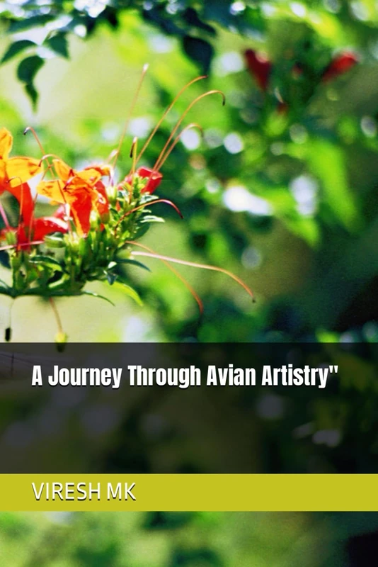 A Journey Through Avian Artistry"