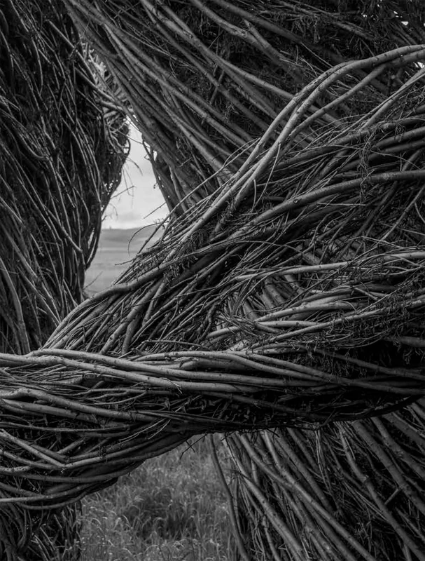 Patrick Dougherty | James Florio: Sticks - Image 1