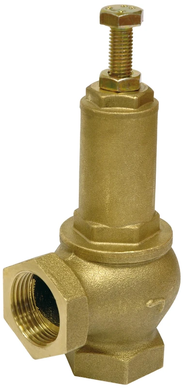S.E 40 Adjustable Brass Safety Valve 1-1/4", Black/White - Image 1