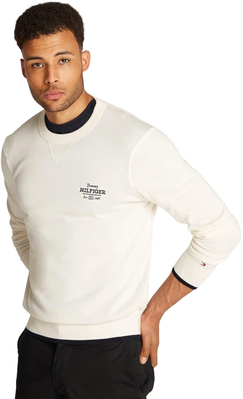 Tommy Hilfiger Men’s Graphic Cotton Round Neck Jumper, Off-White (Ivory Petal), M