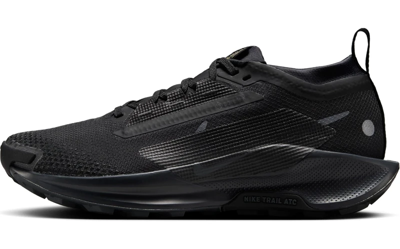 NIKE FQ0912 Pegasus Trail 5 Gore-TEX Women Black/Black-Anthracite UK 6