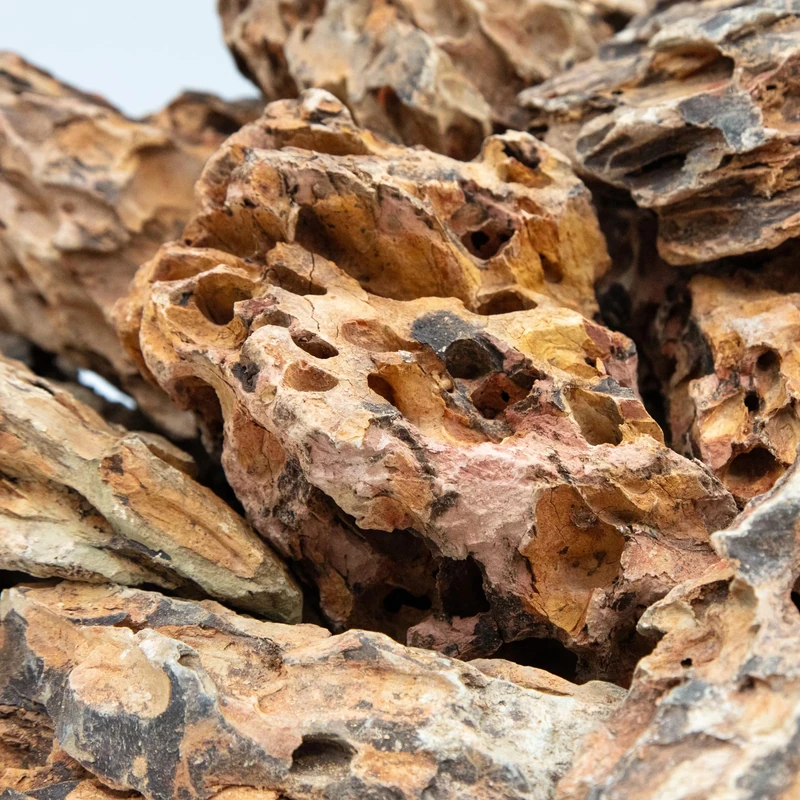 iQuatics Dragon Rock for Aquariums Centerpiece, Natural Stone Formation for Fish Tank Decor Aquascape. Tropical Aquarium, Planted Aquarium Varied Colouration - 20KG