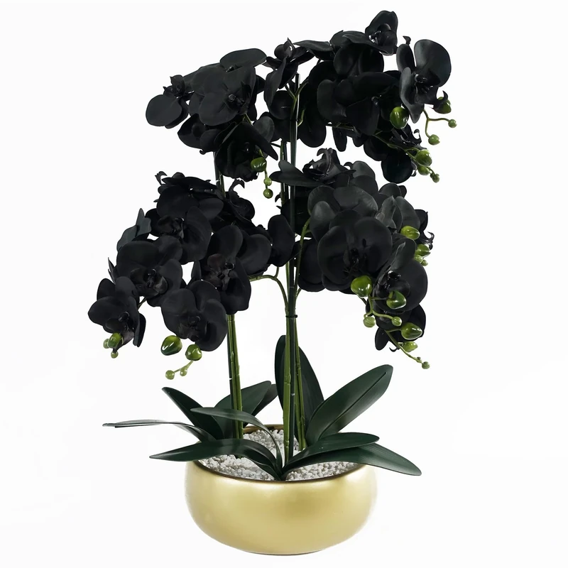 Leaf Design UK Realistic Artificial Orchid Flower Display in Pot
