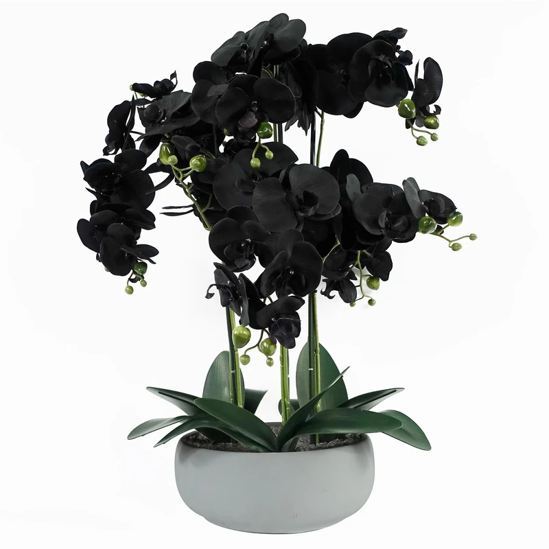 Leaf Design UK Realistic Artificial Orchid Flower Display in Pot